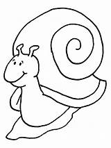 Coloring Pages Escargot sketch template