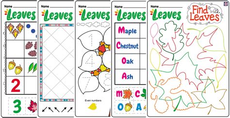fall themed worksheets  activities buylapbook