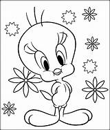 Coloring Pages Honduras Bird Small Getdrawings sketch template