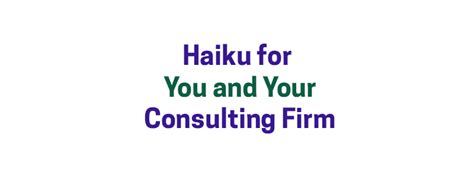 haiku     consulting firm david  fields consulting group