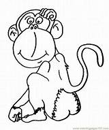 Pygmy Marmoset Coloring Designlooter Monkey Colouring Pages sketch template
