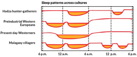 Analyze This Sleep Patterns Vary Widely Across The World Science