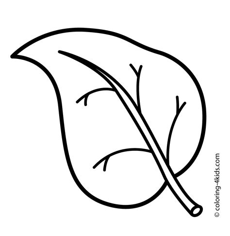 flower leaves coloring pages   print
