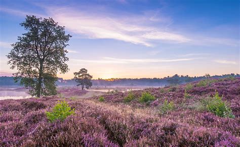 de vijf landschappen natuurcentrum de maashorst