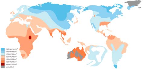 global differences  brain size luke ford