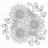 Sunflowers Fiori Bordar Girasoli Girasoles Coloritura Farfalle Schizzo Sforzo Stilizzati Gogh Margaritas Mandalas Mariposas sketch template