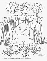 Coloring Rabbit Lop Eared Pages Adron Mr Kids sketch template