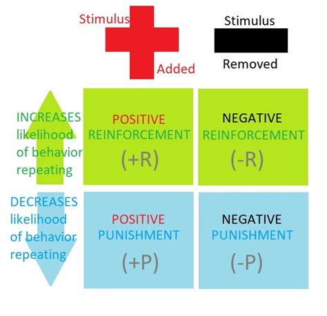 negative reinforcement explained hubpages