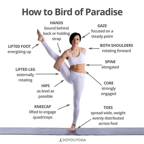simple bird of paradise yoga pose photos yoga poses