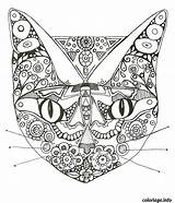Coloriage Dessin Imprimer Anti Stress Adulte Mandala Coloring Cat Coloriages Color Chat Pages Et Adults Tattoos Pour Zen Tattoo Books sketch template