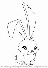 Jam Animal Draw Bunny Drawing Drawings Step Line Bunnies Paintingvalley Learn sketch template