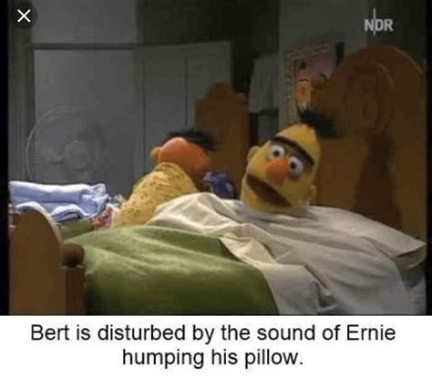 Dark Humored Bert And Ernie Memes Sure To Make You Smile