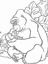 Coloring Kong King Pages Popular Kids Choose Board Tarzan sketch template
