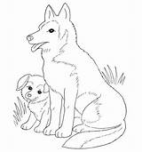 Coloring Welpe Husky Ausmalbild Puppies Hundewelpen Ausmalen Hunde Cachorros Labrador sketch template