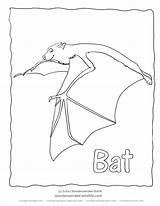 Bat Fledermaus Ausmalbilder Flying Outlines sketch template