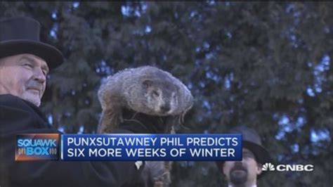 Groundhog Predicts 6 More Weeks Of Winter