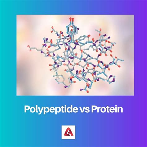 polypeptide  protein difference  comparison