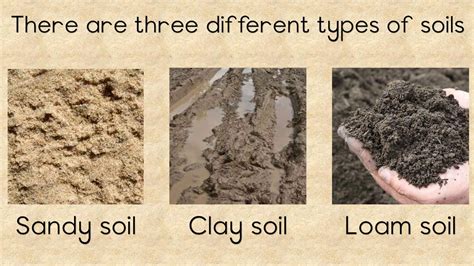 soil  types   importance  soil youtube