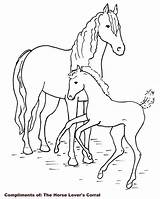 Coloring Pages Horse Coloringbookfun Baby sketch template