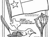 Bonnet Blue Drawing Texas Getdrawings Print sketch template