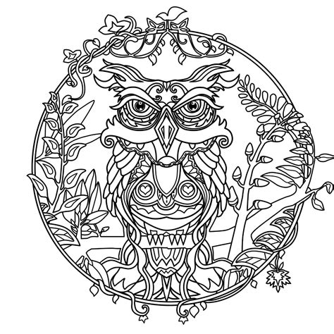 owl pattern  scrapbooking coloring pages png  file