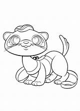 Coloring Pages Ferret Lps Pet Shop Furet Footed Littlest Dessin Colorier Coloriage Imprimer Printable Cat Animals Getcolorings Drawing Para Ferrets sketch template