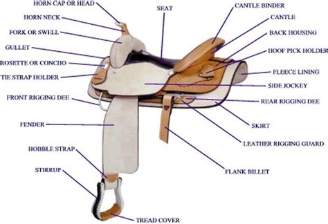 westernenglish saddle parts saddle   repairs sale   saddles