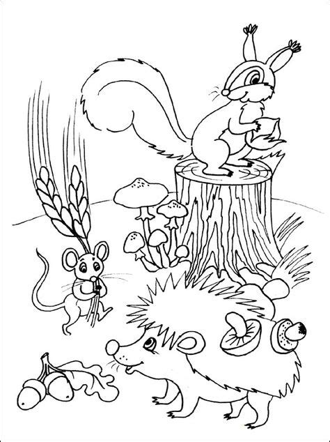 coloring page  animals   autumn coloring pages fall
