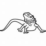 Bearded Lizard sketch template