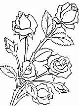 Bouquet Roses Flower Coloring Rose Drawing Pages Made Draw Printable Print Power Colorluna Bunch Color Clipartbest Coloriage Getdrawings Flowers Dessin sketch template