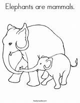 Coloring Mammals Pages Elephants Elephant Worksheet Baby Mama Thailand Twistynoodle Kids Printable Print Cartoon Colouring Color Animals Kindergarten Clipart Preschool sketch template