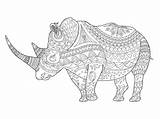 Vector Rhinoceros Adults Coloring Book Illustration sketch template