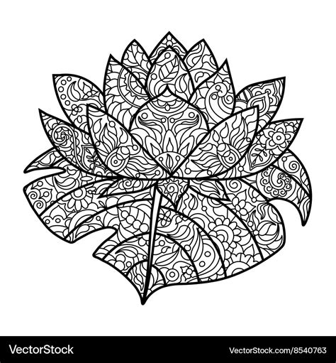 lotus flower coloring book  adults royalty  vector