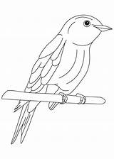 Bluebird Include Dxf Getdrawings sketch template