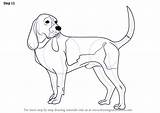 Dog Hound Draw Step Drawing Dogs Make Tutorial Improvements Necessary Finally Finish Tutorials Drawingtutorials101 sketch template