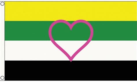 lgbtq pride flag skoliosexual ceterosexual 5 x3 etsy