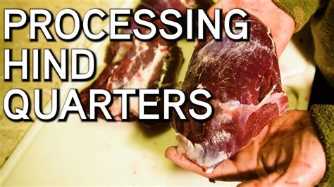 process  deers hind quarters identifying cuts  meat youtube