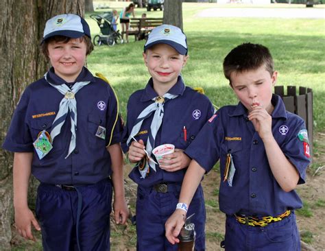 scouts hold stanley park  council event  westfield news june