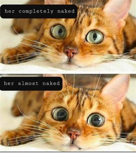 Sex Memes Are The Best Memes 36 Pictures Funny Pictures Quotes