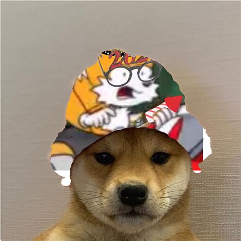 gamerpic doge   hat
