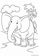 Coloring Pages Elephant Coloring4free Kindergarten Printable Related Posts Baby sketch template