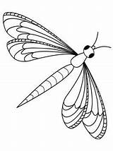 Libelle Libellen Ausmalbilder Malvorlage Dragonflies Kleurplaten Libel Dragonfly sketch template