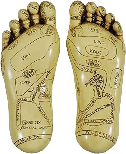 reflexology feet by tina tarrant 22 5cm high buy online at best price