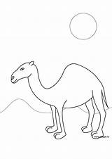Camel Drawing Coloring Easy Book Drawings Paintingvalley Animals sketch template
