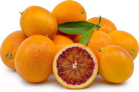 spanish sanguinelli blood oranges information recipes  facts