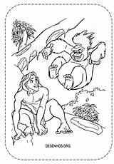 Tarzan Vocês Trouxemos Imprima Terk sketch template
