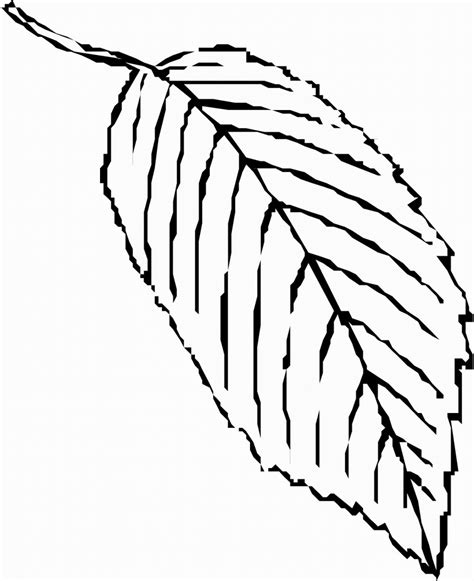 jungle leaves drawing    clipartmag