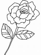 Roos Kleurplaat Bloem Kleurplaten Meisjes Liefde Tekenen Coloriages Rozen Animaatjes Tekening Tekeningen Plaatje Blume Valentines Dasmalbuch sketch template