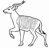 Antelope Bongo Bongos Supercoloring Kudu Caticorn Antílope sketch template