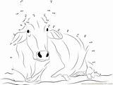 Cow Dots Connect Indian Dot Kids sketch template